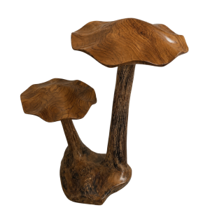 Forest Mushroom