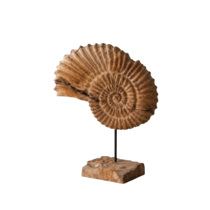 Shell Teak Art - Large