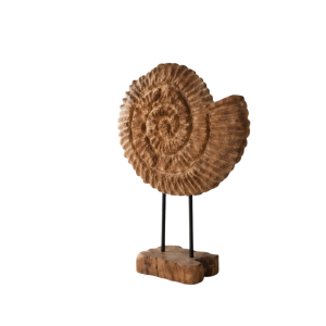 Shell Teak Art - Medium