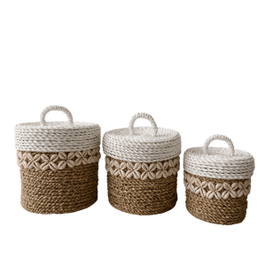 SG Coral Canister